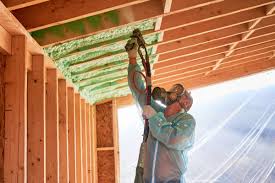 Types of Insulation We Offer in Kurtistown, HI